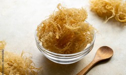 Why Sea Moss is Every Health Enthusiast's New Favorite Superfood