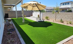 Sustainable Landscaping Practices for Homeowners