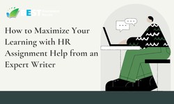 How to Maximize Your Learning with HR Assignment Help From an Expert Writer