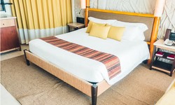 Restful Retreats: Exploring the Best Beds in Wolverhampton