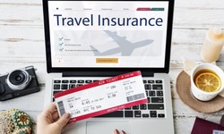 How to Choose the Right Travel Insurance Plan