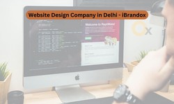 Website Design Company in Delhi - iBrandox