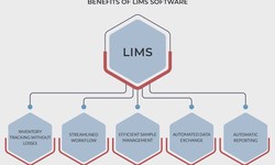 How does a LIMS help improve laboratory efficiency?