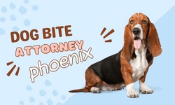 Navigating Dog Bite Incidents in Phoenix: How a Dog Bite Attorney Can Help