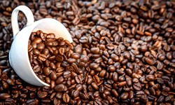 Why Wholesale Coffee Suppliers Are Essential For Cafes And Restaurants?
