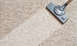 The Ultimate Guide to Carpet Cleaning in Melbourne: Tips and Tricks for a Spotless Home