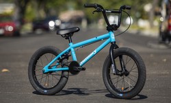What is the most popular BMX?