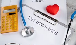 Tailored Protection, Transparent Prices: Get the Right Life Insurance Quote with ACE