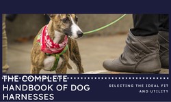 The Complete Handbook of Dog Harnesses: Selecting the Ideal Fit and Utility