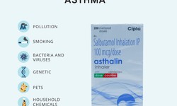 Get Back to Living with Asthalin Inhaler's Impact on Respiratory Wellness