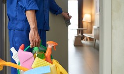 Passing Down the Tradition of House Cleaning To Professionals Cleaners