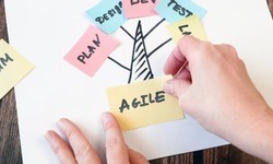 Navigating the Agile Landscape: Unveiling the Power of Scrum Master Certifications