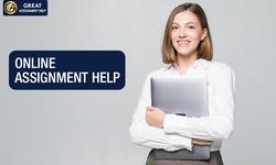 How Can Assignment Help Online Benefit An Individual?