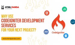 Why Use CodeIgniter Development Services for Your Next Project?