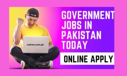 Today's Government Jobs in Pakistan: Your Path to a Promising Career with Nokree.com.pk