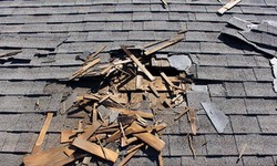 Crafting Exceptional Roofing Solutions for Charlotte's Homes
