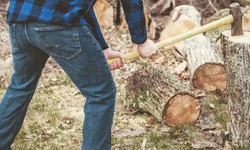 Improve Safety By Availing Of Chopping Down Trees Services