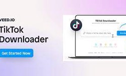 Unlocking Creativity: Veed.io Debuts the Ultimate TikTok Downloader