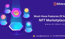 Know The Essential Features for a Thriving NFT Marketplace