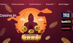 About EzCasino.in - Best Online Casinos Review Site