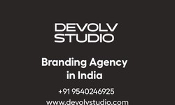 How to Choose the Best Packaging Design Agency in Delhi NCR