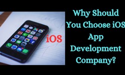 Why Should You Choose iOS App Development Company?
