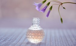 Aromatherapy on Wheels: Car Freshener Manufacturers and Wellness Trends