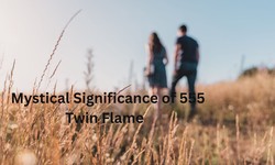 555 Twin Flame