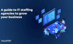 IT Staffing Agencies-VALiNTRY