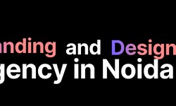Branding and Design Agency in Noida  - Mongoosh Designs