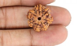 Exploring the Power of the 4 Mukhi Rudraksha: A Guide to Its Significance and Benefits