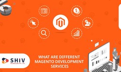 What are Different Magento Development Services