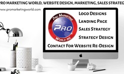Website Design & Logos Design Services in Albuquerque New Mexico