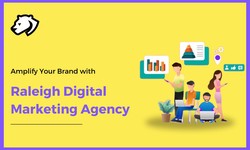 Amplify Your Brand with Raleigh Digital Marketing Agency