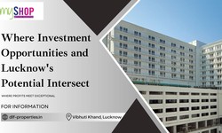 Where Investment Opportunities and Lucknow's Potential Intersect