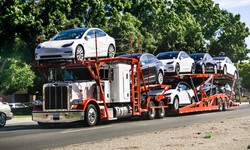 Vehicle Transport Services: Ensuring a Smooth Journey for Your Wheels