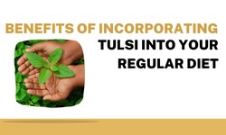 Benefits of Incorporating Tulsi into Your Regular Diet