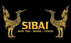 Best Muay Thai Gym in Miami: Unleash Your Potential