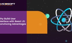 Why Build User Interface with React JS? | Convincing Advantages