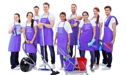 Pristine Cleaning Solutions: Your Trusted Local Cleaner Services