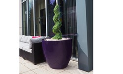 How to Enhance Your Backyard's Privacy with Large Outdoor Planters