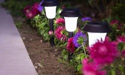 How do you place solar lights in landscaping?
