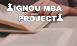 HOW TO GOOD MARKS IN IGNOU MBA PROJECT