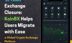 Txbit Exchange Closure: KoinBX Helps Users Migrate with Ease