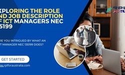 Exploring The Role and Job Description Of ICT Managers NEC 135199