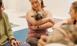 Puppy Play and Poses: Embracing Yoga with Dogs