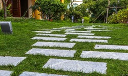 Elevate Your Outdoor Space with Mesmerizing Landscaping in Henderson, NV