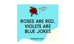 How to write roses are red violets are blue dirty poems?