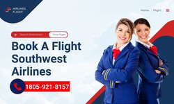 Travel Guide: Southwest Airlines Booking