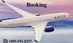 Wanderlust Made Easy How Delta Airlines Online Booking Fuels Your Adventures